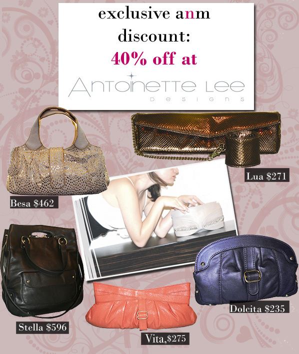 Exclusive anm Discount: 40% Off at Antoinette Lee! post image