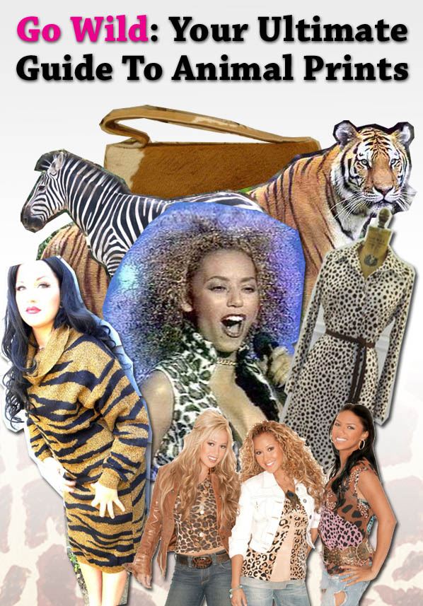 Go Wild: The Ultimate Guide to Animal Prints post image