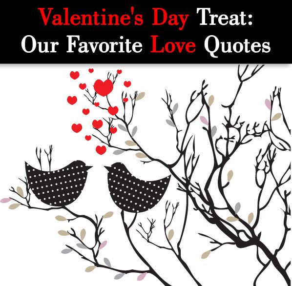 Valentine’s Day Treat: Our Favorite Love Quotes post image