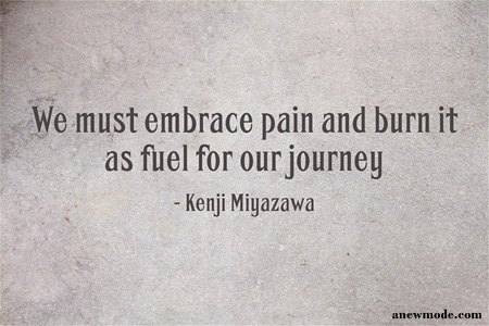 must embrace pain as fuel quote